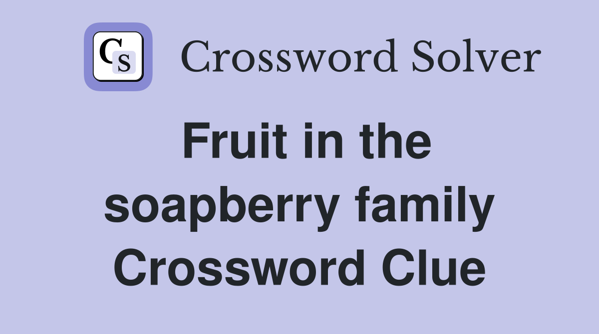 Fruit in the soapberry family Crossword Clue