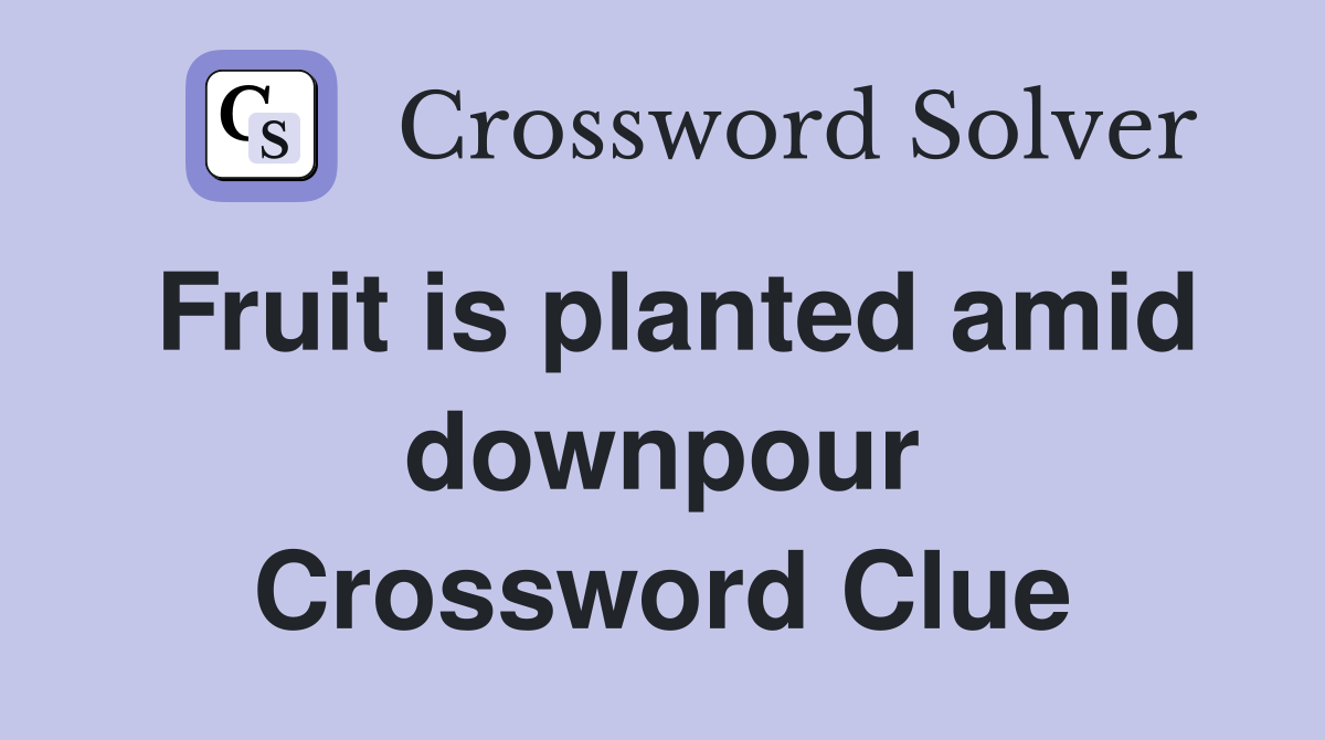 Fruit is planted amid downpour Crossword Clue