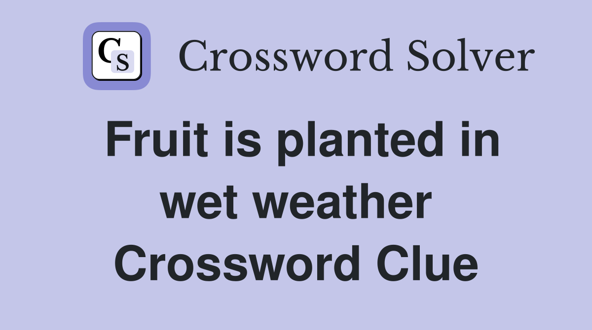 Fruit is planted in wet weather Crossword Clue