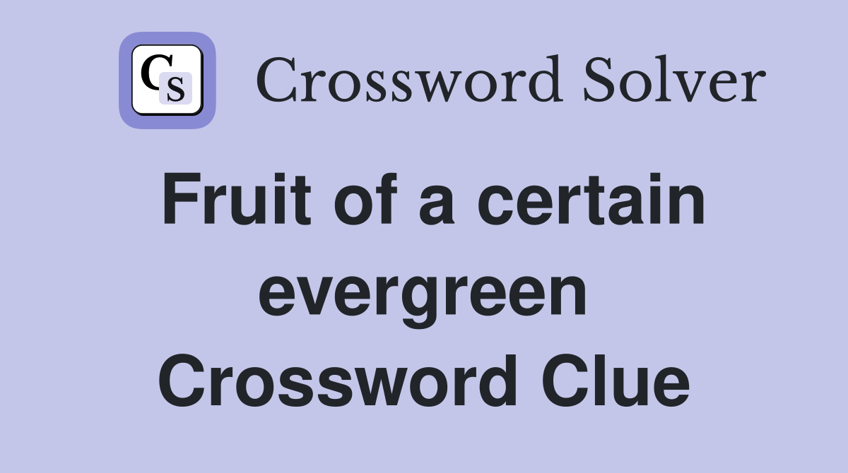 Fruit of a certain evergreen Crossword Clue