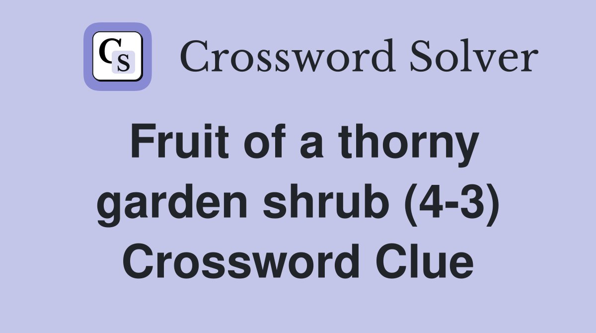 Fruit of a thorny garden shrub (4-3) Crossword Clue