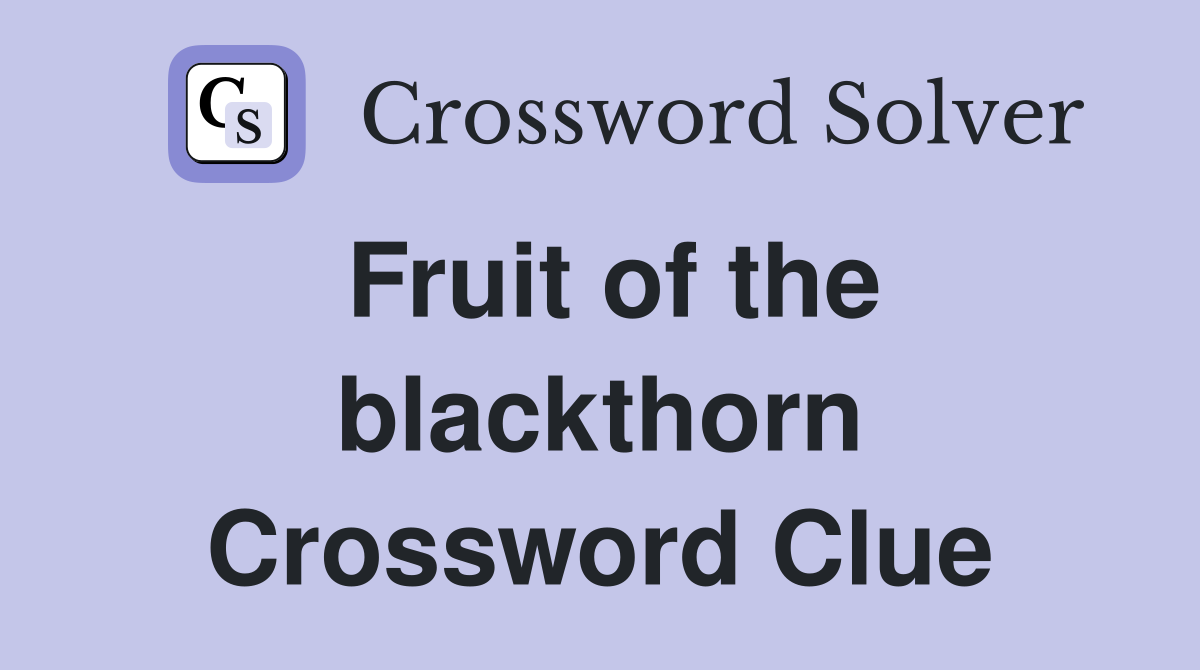 Fruit of the blackthorn Crossword Clue