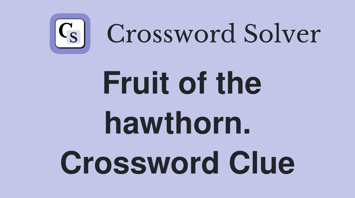 Fruit of the hawthorn. Crossword Clue