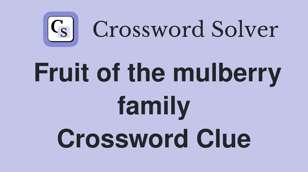 Fruit of the mulberry family Crossword Clue