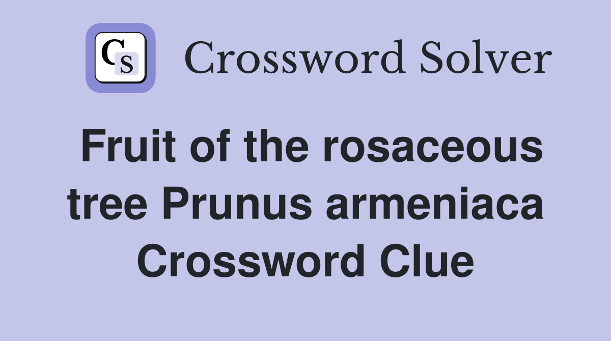 Fruit of the rosaceous tree Prunus armeniaca Crossword Clue
