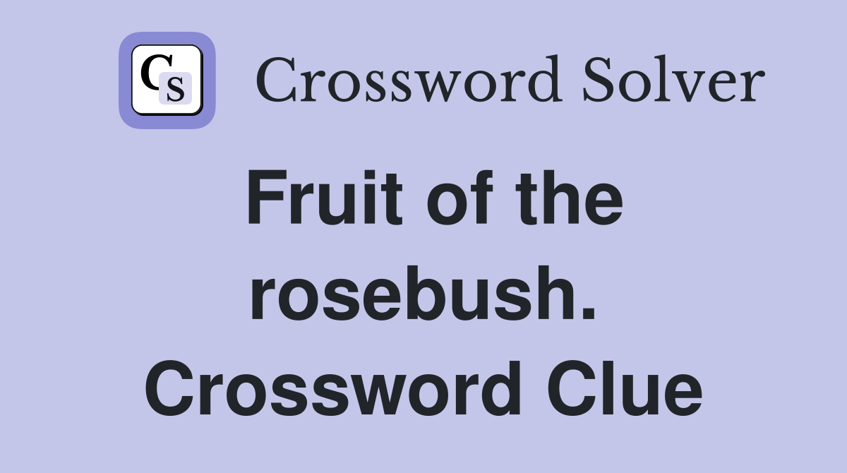 Fruit of the rosebush. Crossword Clue