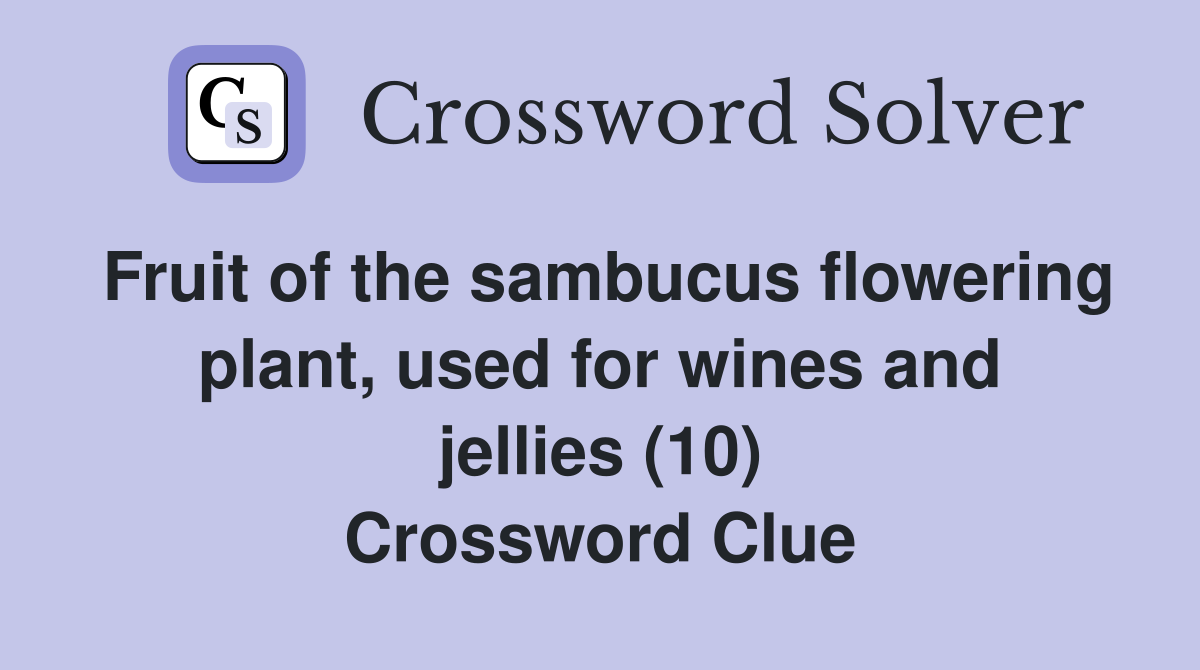 Fruit of the sambucus flowering plant, used for wines and jellies (10) Crossword Clue