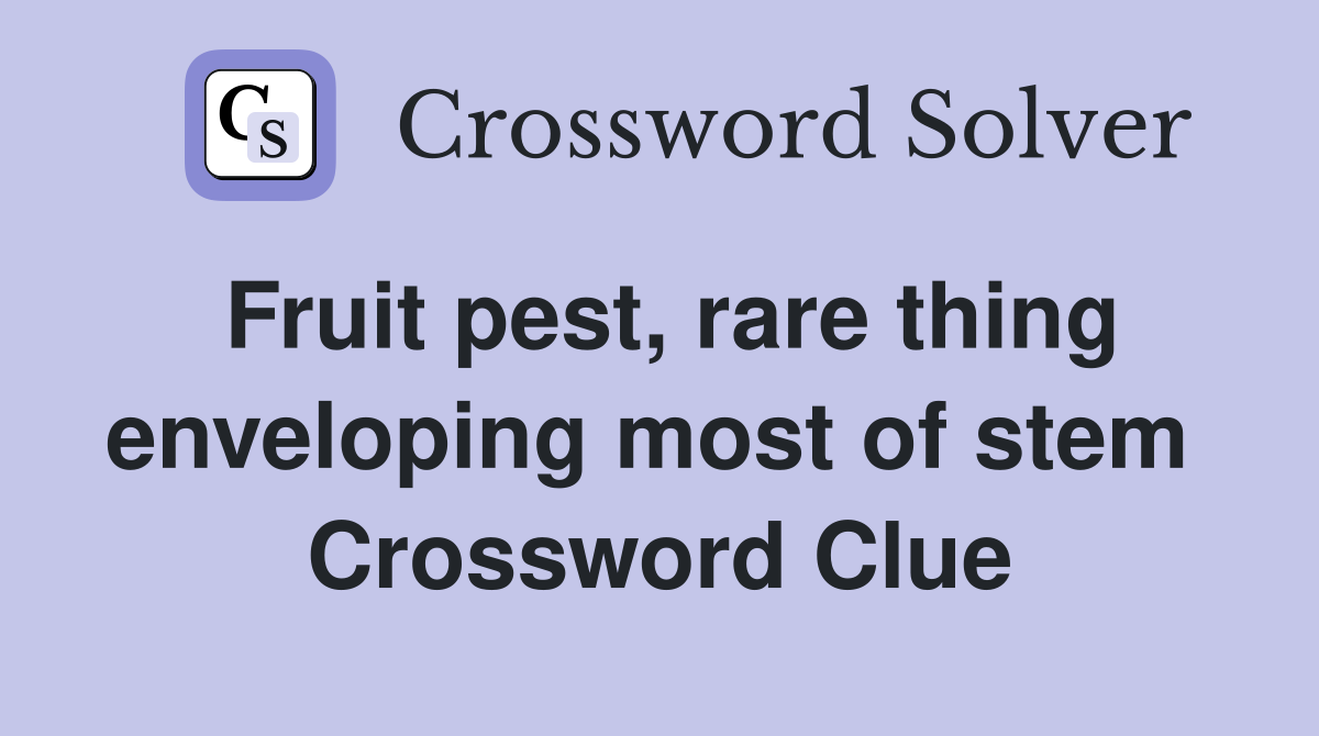 Fruit pest, rare thing enveloping most of stem  Crossword Clue
