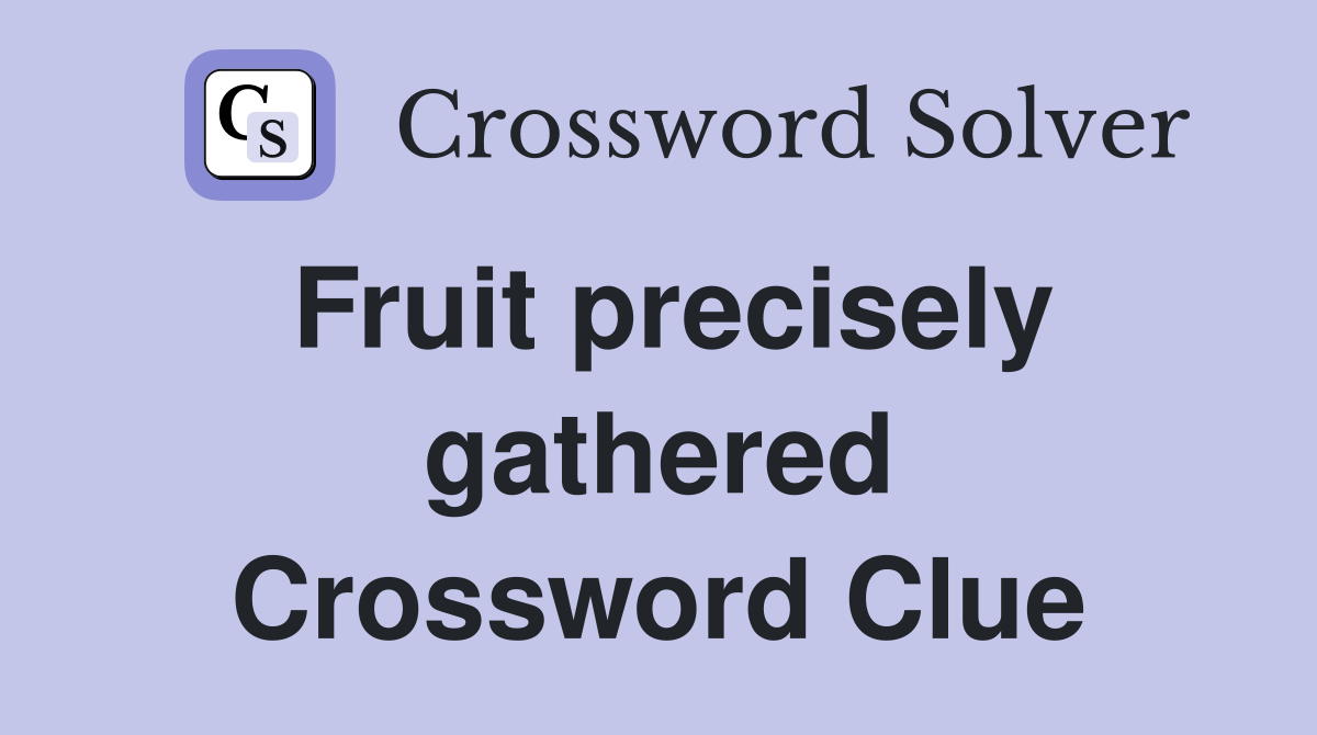 Fruit precisely gathered Crossword Clue