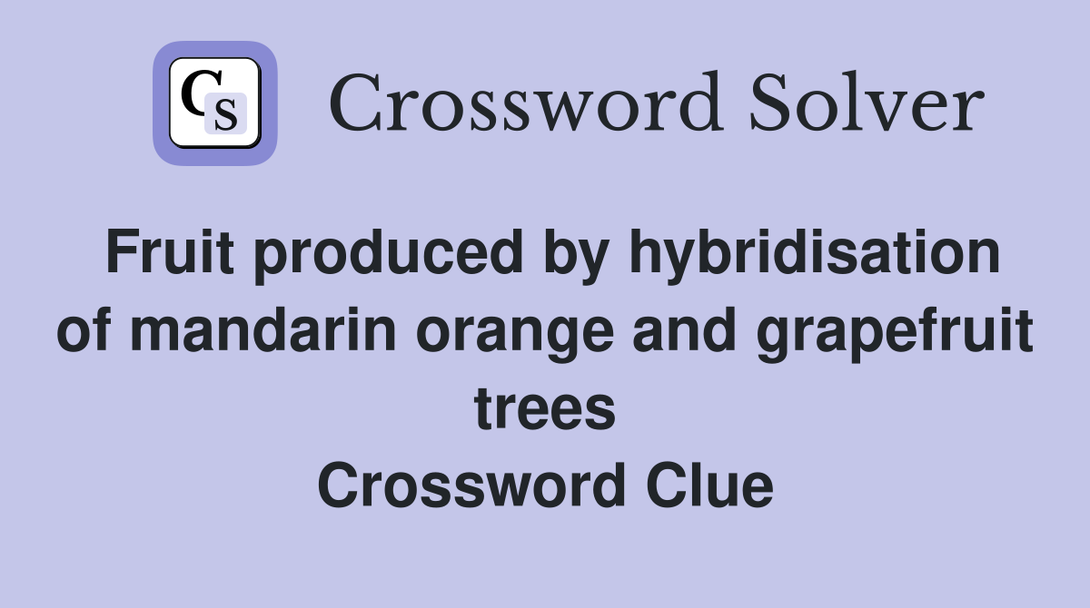 Fruit produced by hybridisation of mandarin orange and grapefruit trees Crossword Clue
