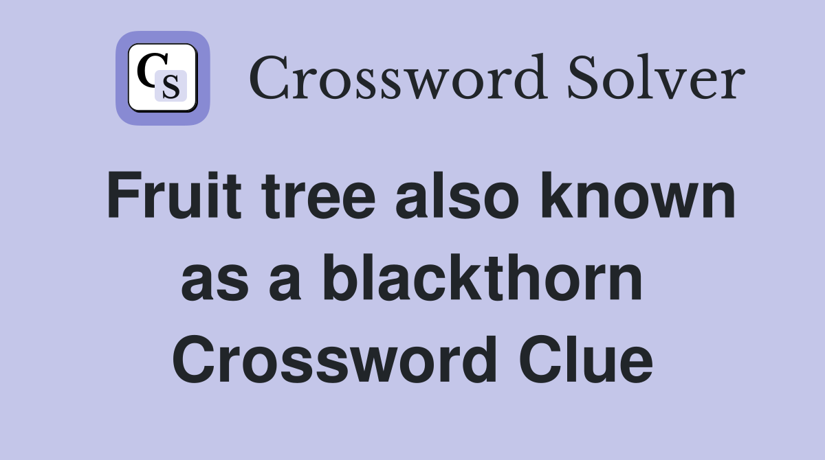 Fruit tree also known as a blackthorn Crossword Clue