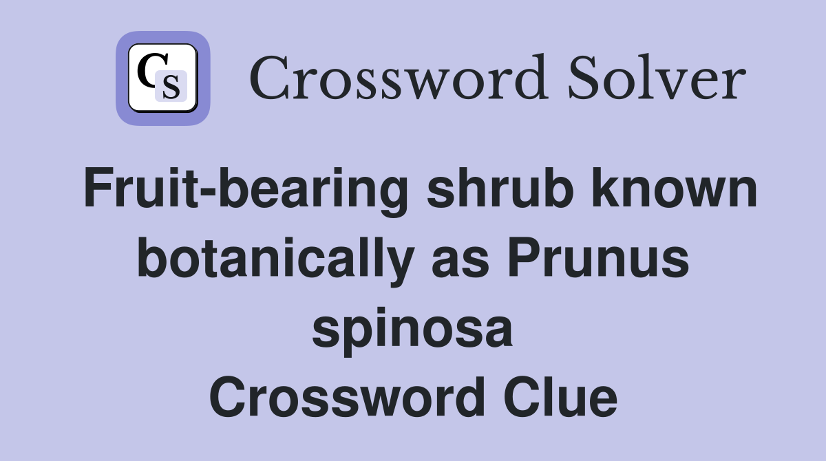 Fruit-bearing shrub known botanically as Prunus spinosa Crossword Clue