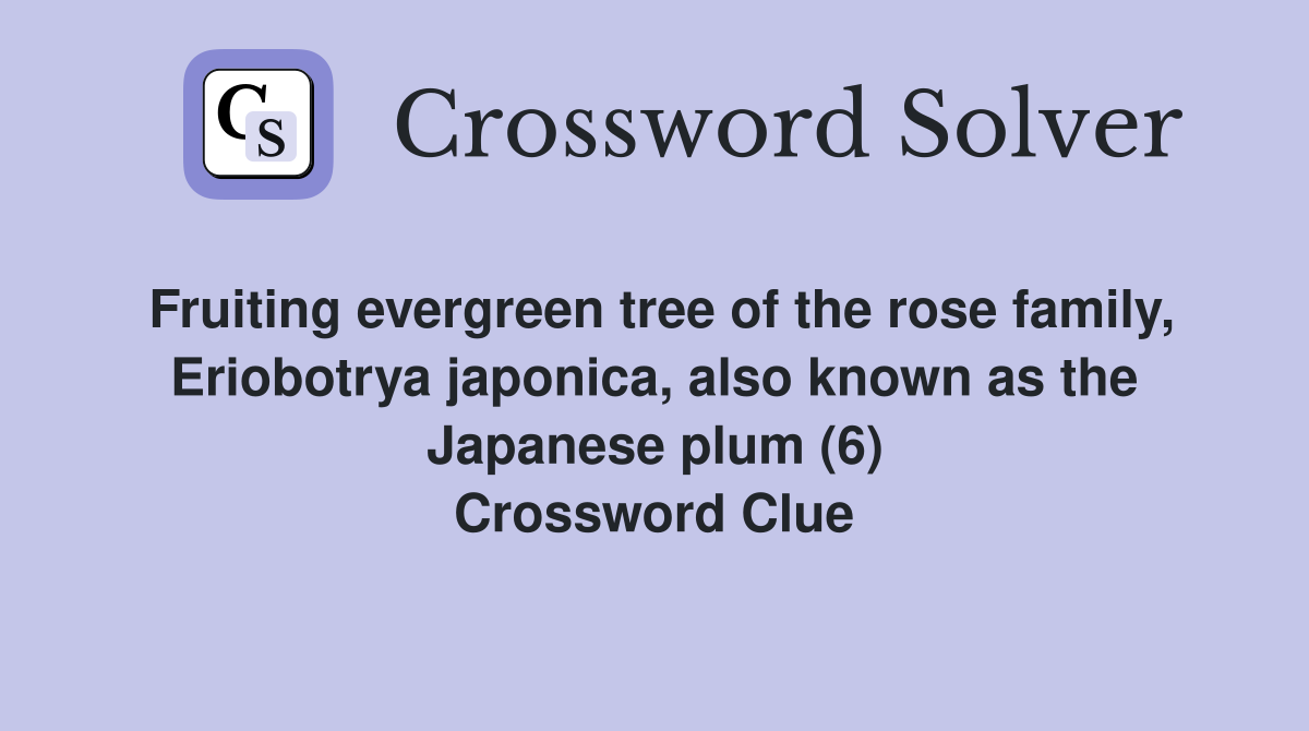 Fruiting evergreen tree of the rose family, Eriobotrya japonica, also known as the Japanese plum (6) Crossword Clue