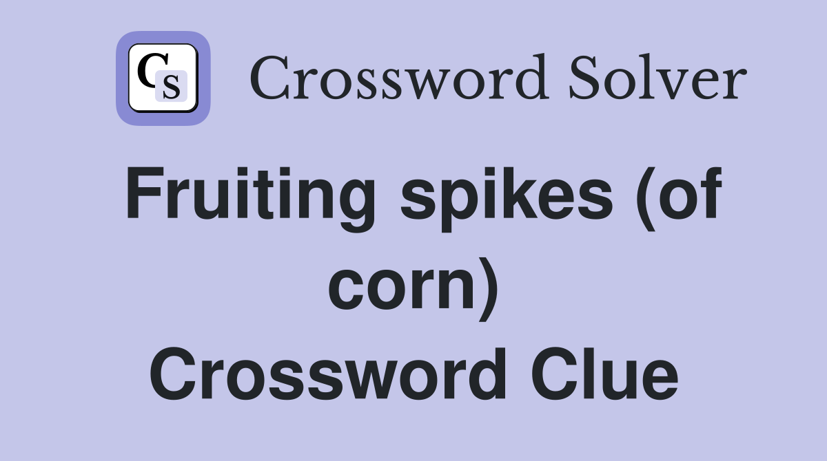 Fruiting spikes (of corn) Crossword Clue