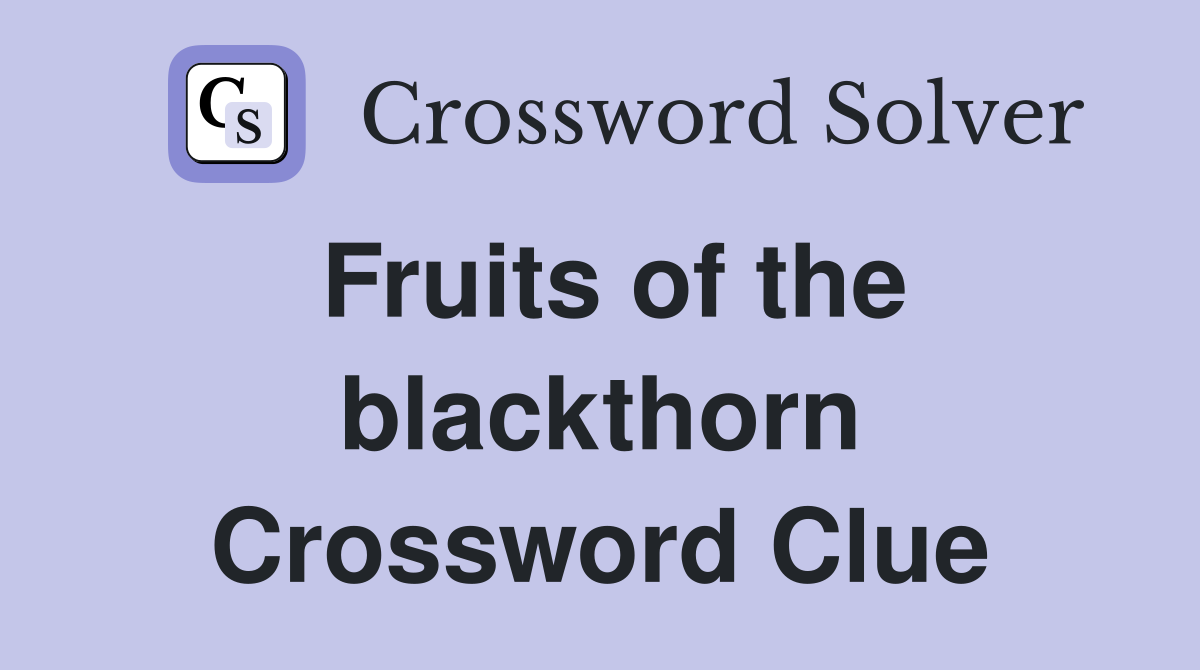 Fruits of the blackthorn Crossword Clue