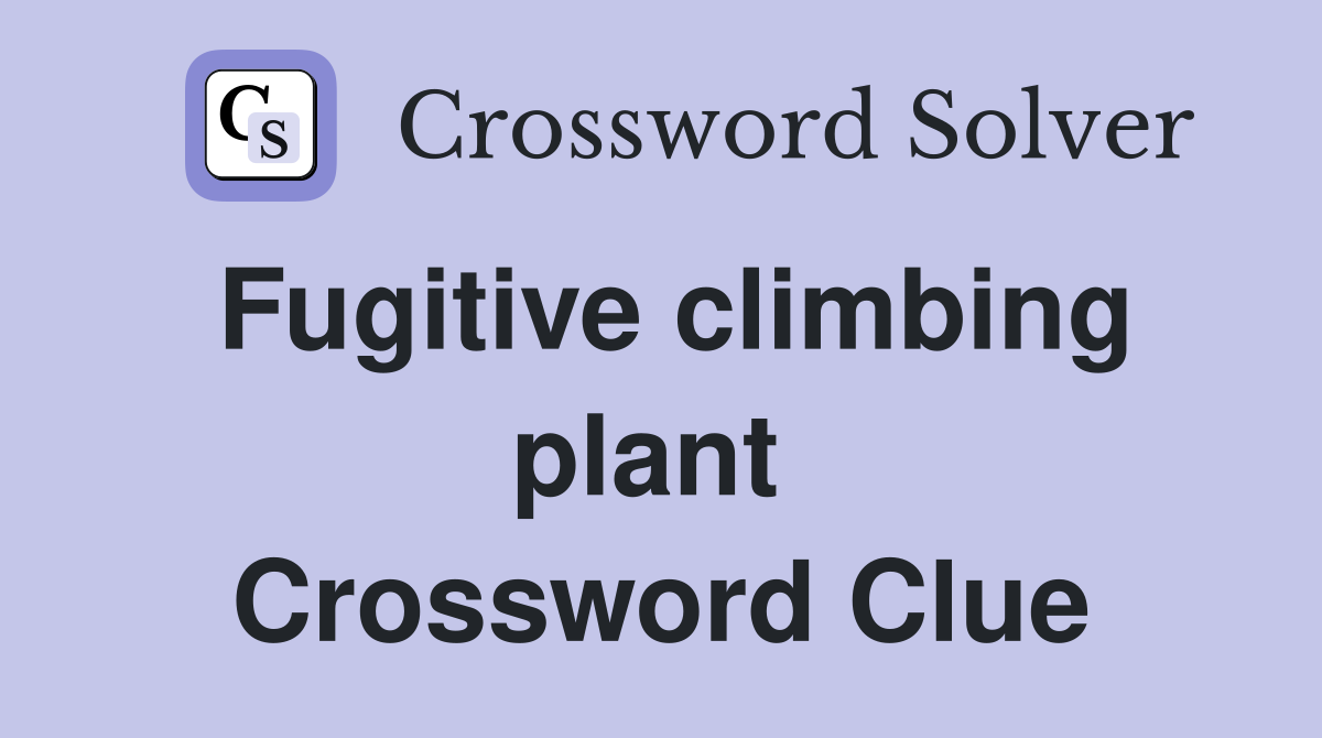 Fugitive climbing plant  Crossword Clue