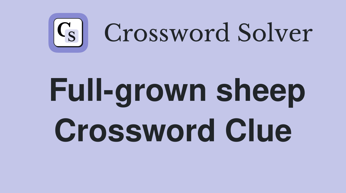 Full-grown sheep Crossword Clue
