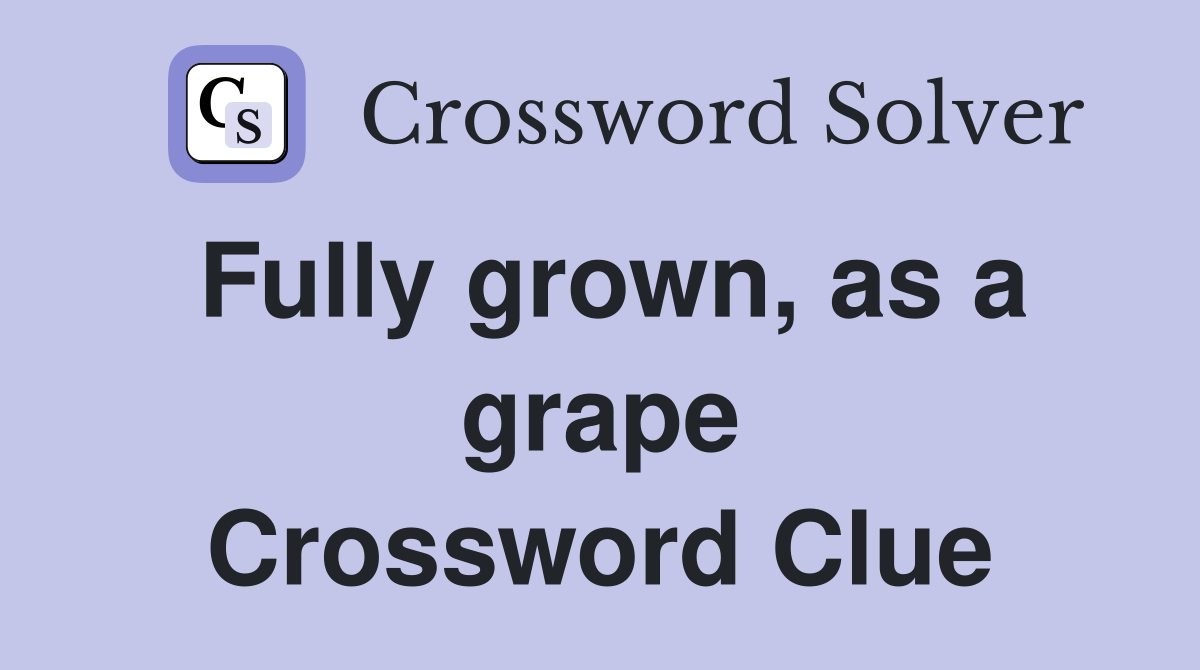 Fully grown, as a grape Crossword Clue