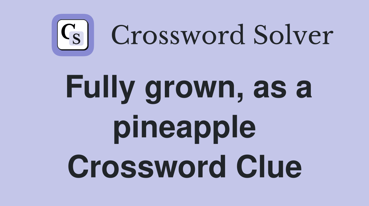 Fully grown, as a pineapple Crossword Clue