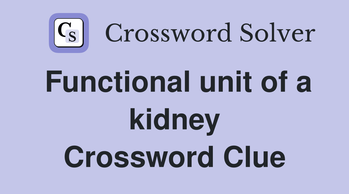 Functional unit of a kidney Crossword Clue
