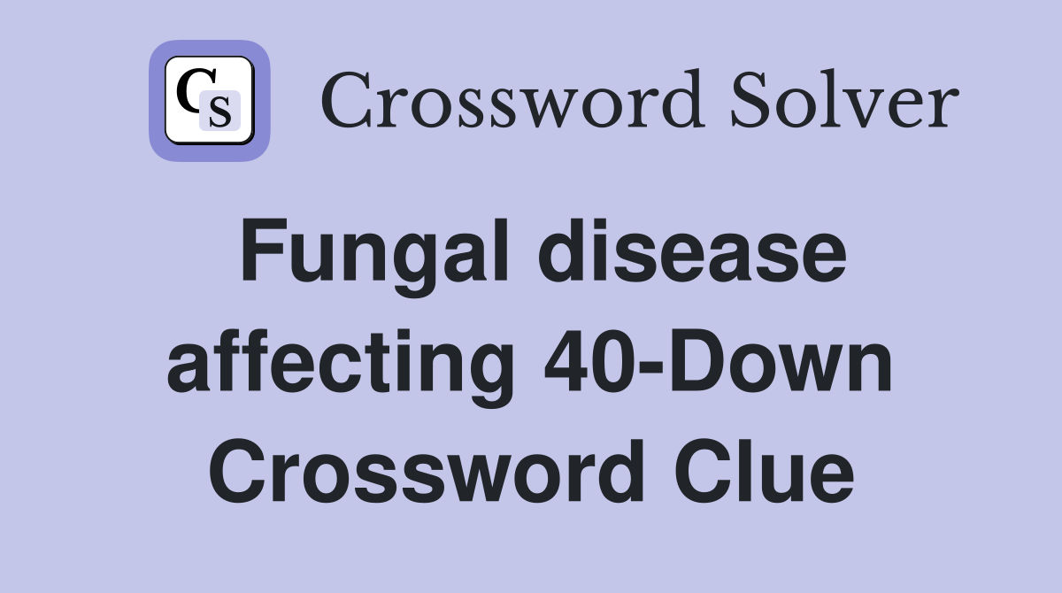 Fungal disease affecting 40-Down Crossword Clue