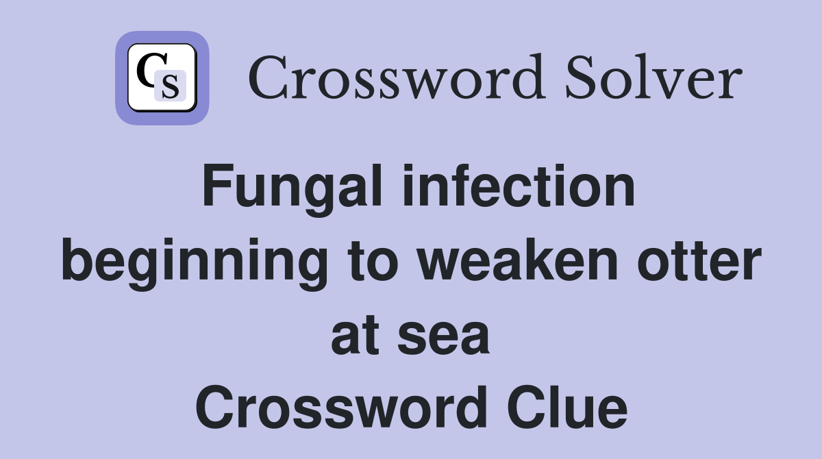 Fungal infection beginning to weaken otter at sea Crossword Clue