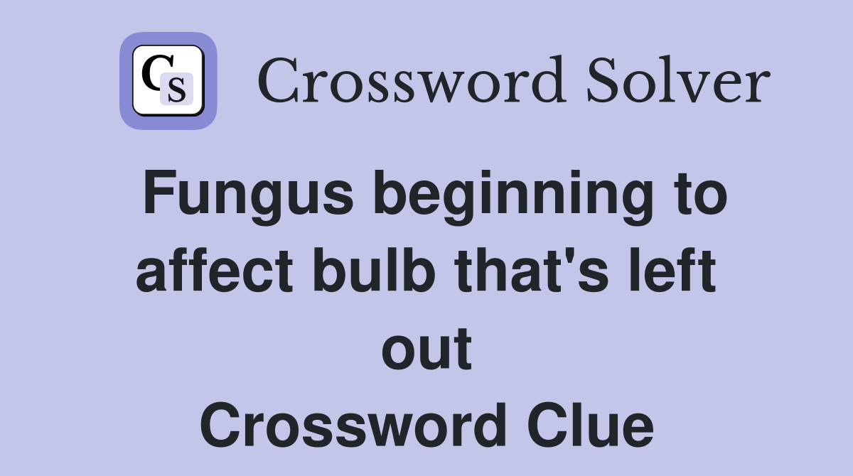 Fungus beginning to affect bulb that's left out Crossword Clue