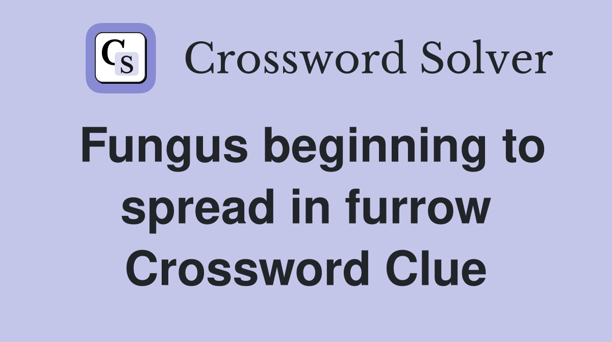 Fungus beginning to spread in furrow Crossword Clue
