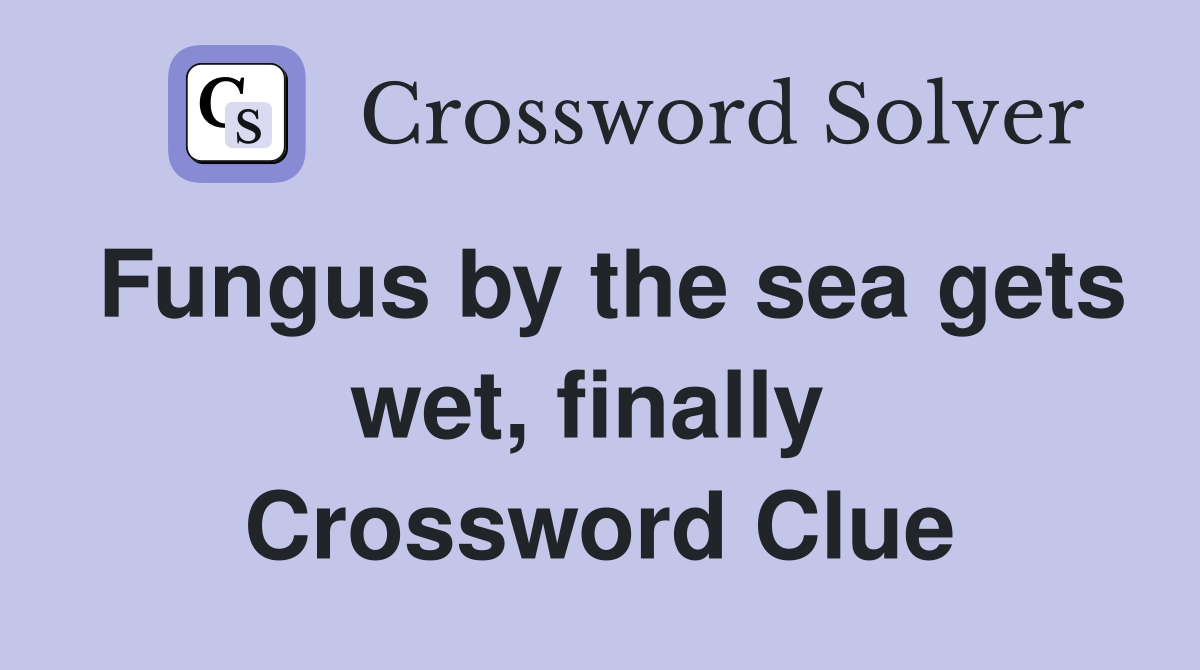 Fungus by the sea gets wet, finally  Crossword Clue