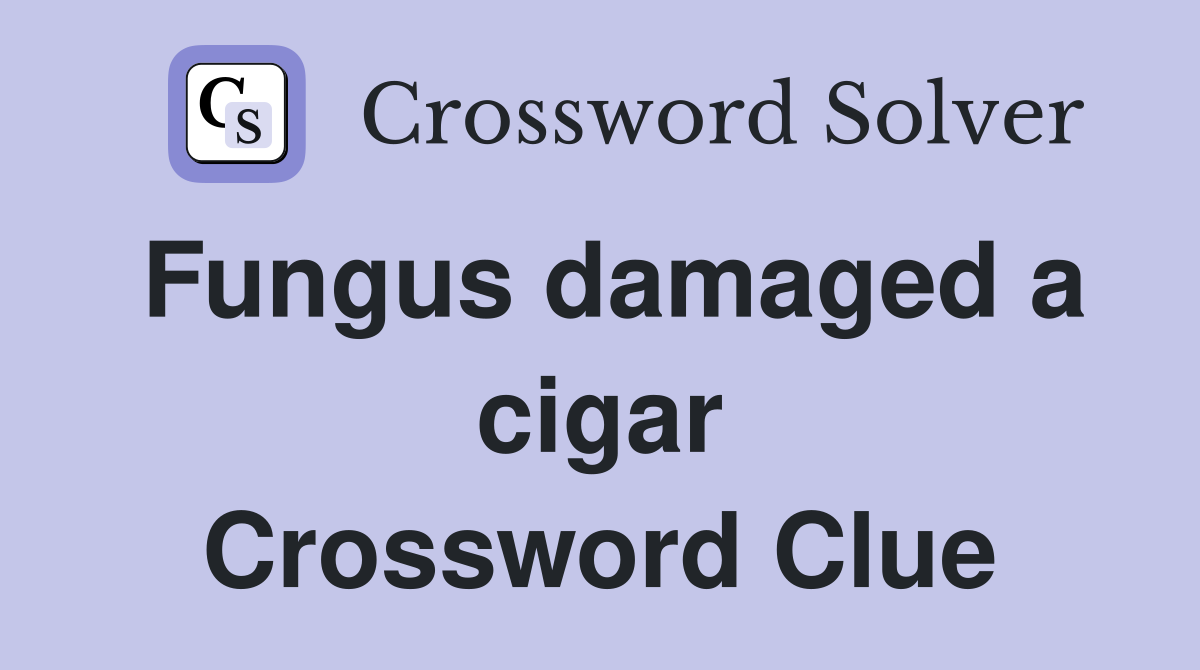 Fungus damaged a cigar Crossword Clue