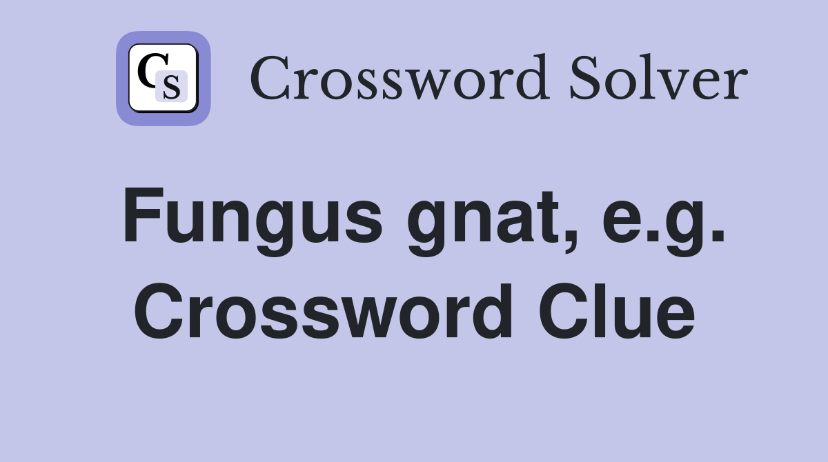 Fungus gnat, e.g. Crossword Clue