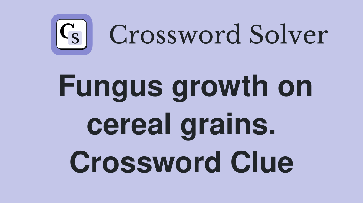 Fungus growth on cereal grains. Crossword Clue