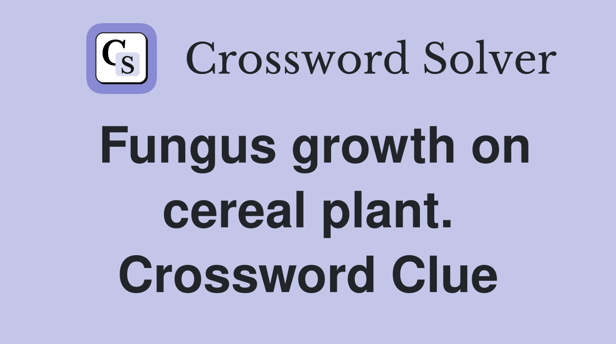 Fungus growth on cereal plant. Crossword Clue