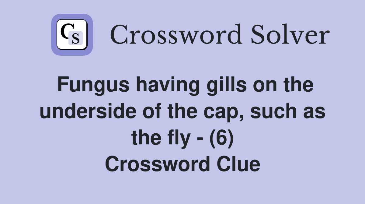 Fungus having gills on the underside of the cap, such as the fly - (6) Crossword Clue
