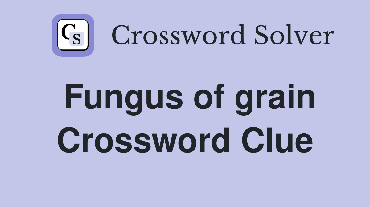 Fungus of grain Crossword Clue