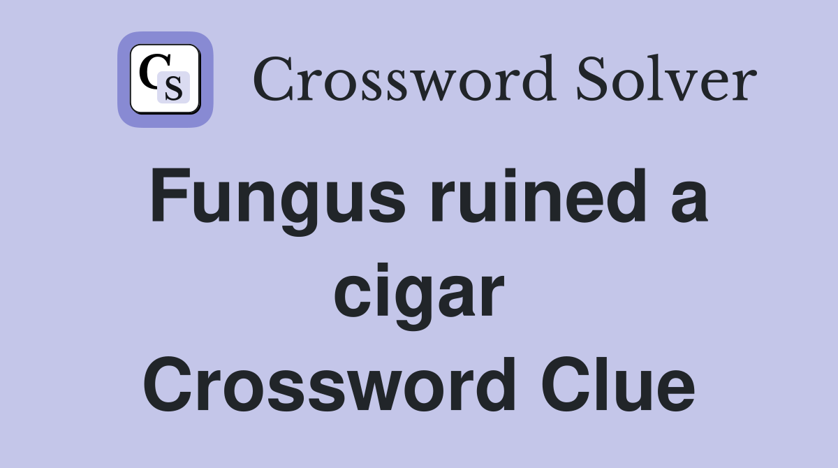Fungus ruined a cigar Crossword Clue