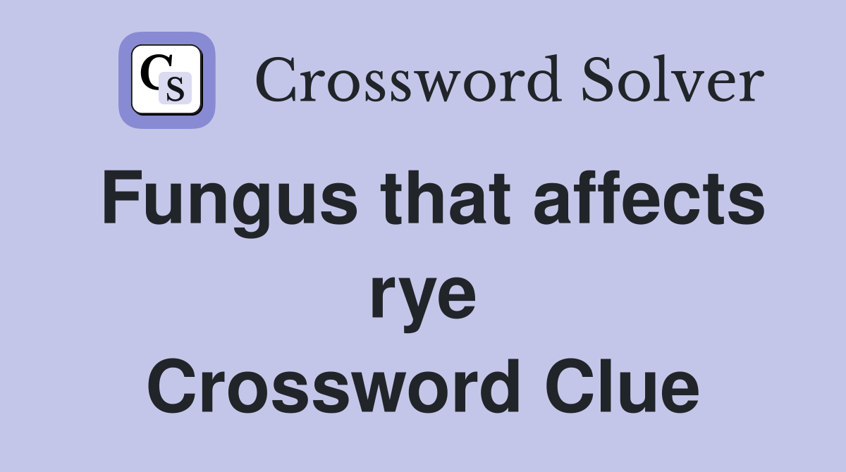 Fungus that affects rye Crossword Clue
