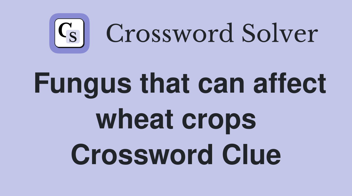 Fungus that can affect wheat crops Crossword Clue