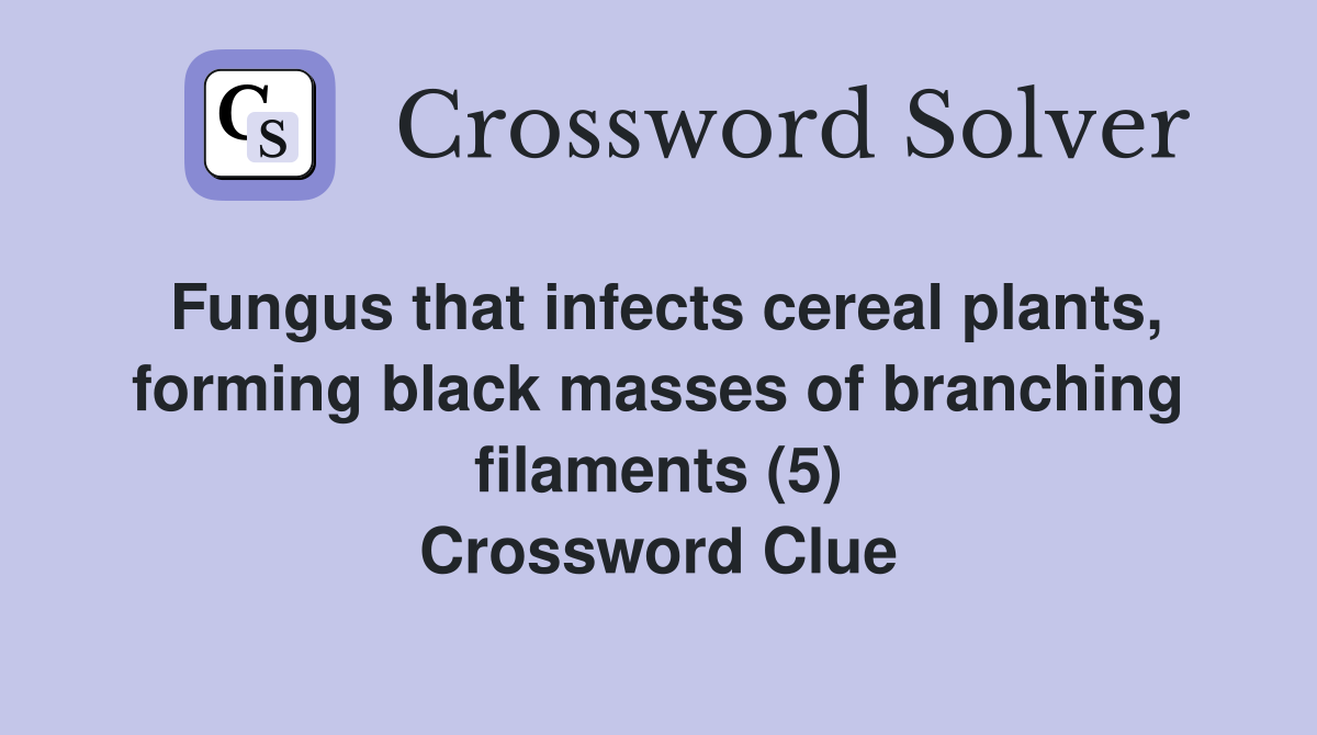 Fungus that infects cereal plants, forming black masses of branching filaments (5) Crossword Clue
