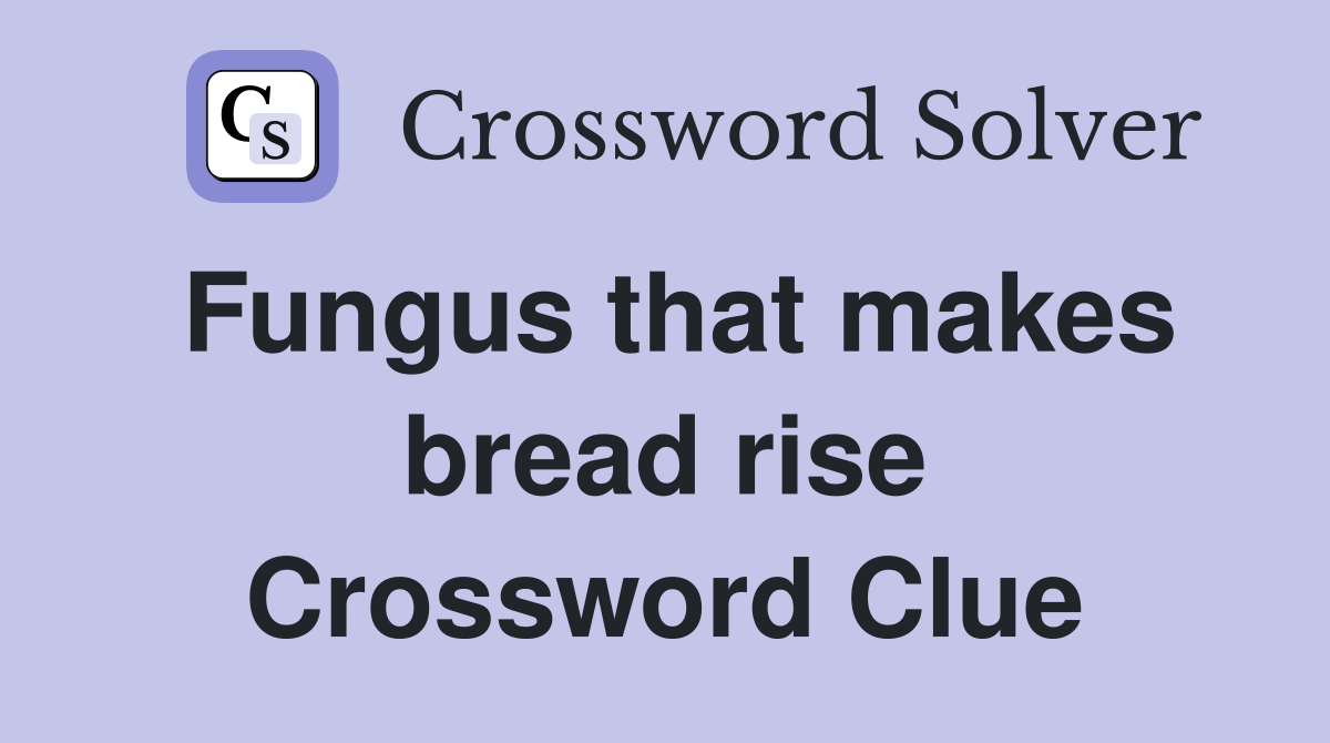 Fungus that makes bread rise Crossword Clue