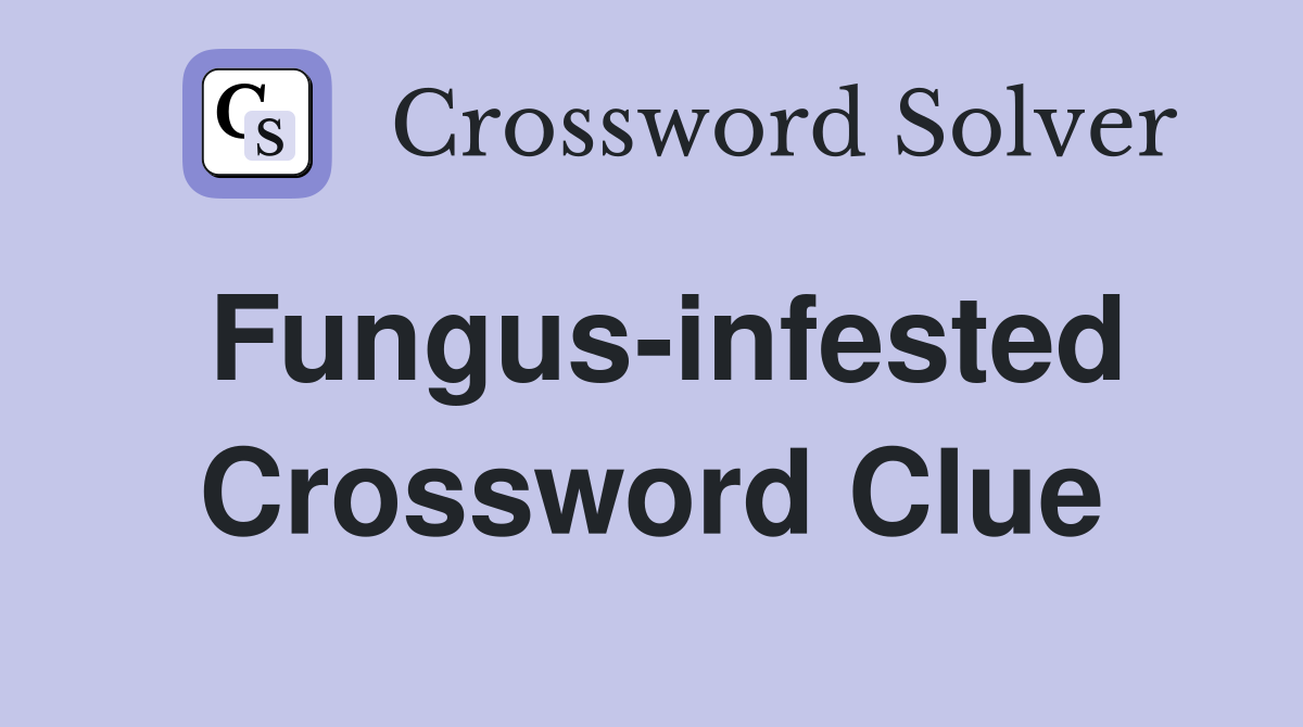 Fungus-infested Crossword Clue