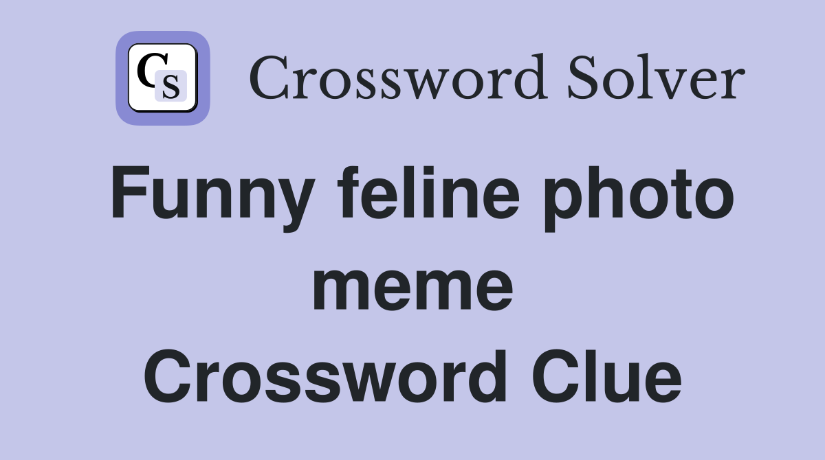 Funny feline photo meme Crossword Clue