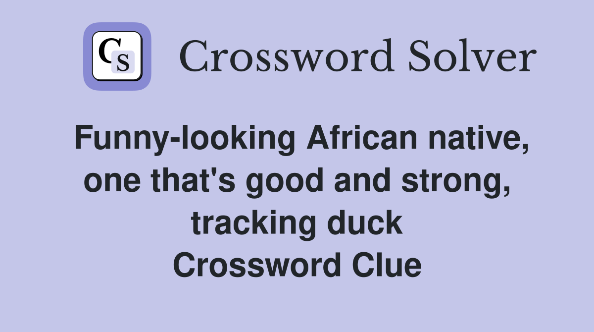 Funny-looking African native, one that's good and strong, tracking duck Crossword Clue