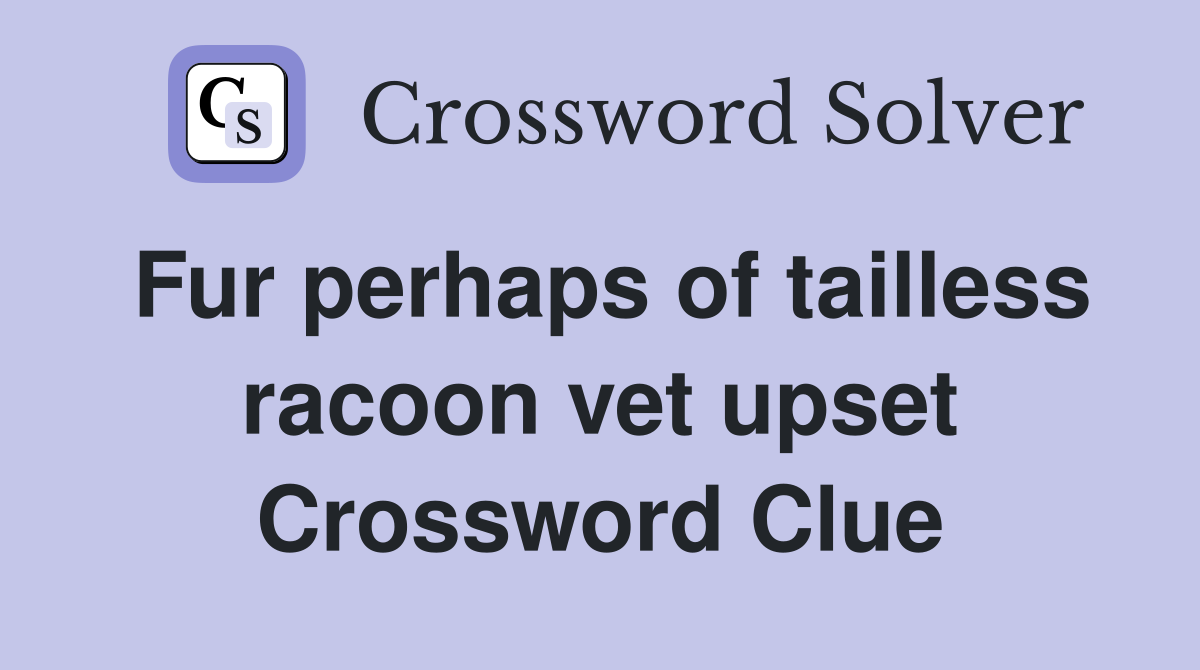 Fur perhaps of tailless racoon vet upset Crossword Clue