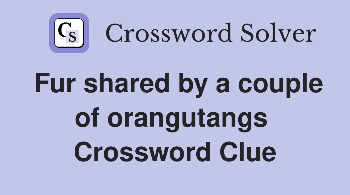 Fur shared by a couple of orangutangs  Crossword Clue