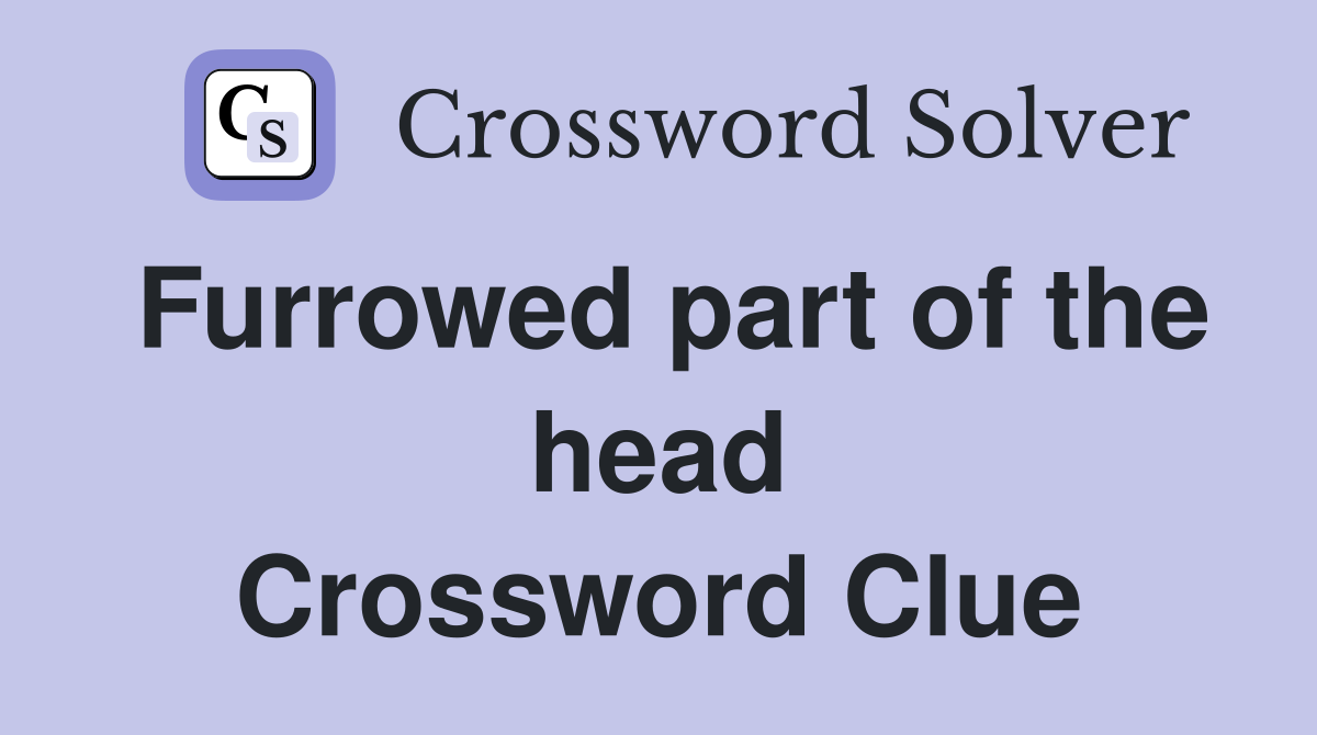 Furrowed part of the head Crossword Clue