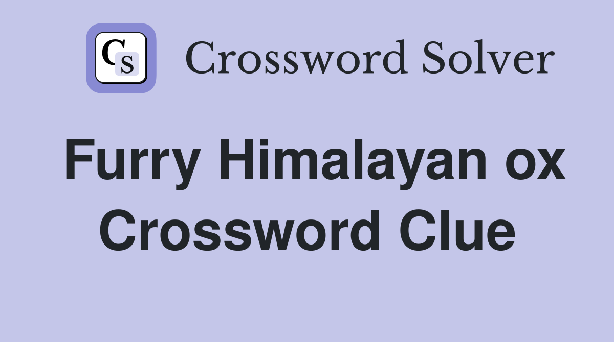 Furry Himalayan ox Crossword Clue