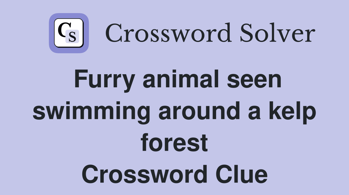 Furry animal seen swimming around a kelp forest Crossword Clue