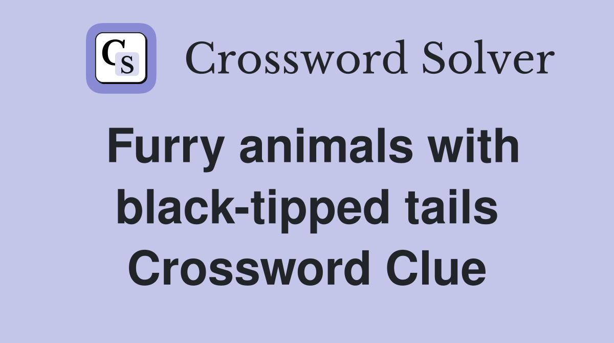Furry animals with black-tipped tails Crossword Clue
