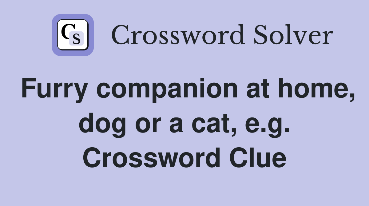 Furry companion at home, dog or a cat, e.g. Crossword Clue